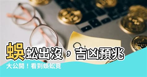 蜈蚣入宅|蜈蚣出沒：化解不利風水